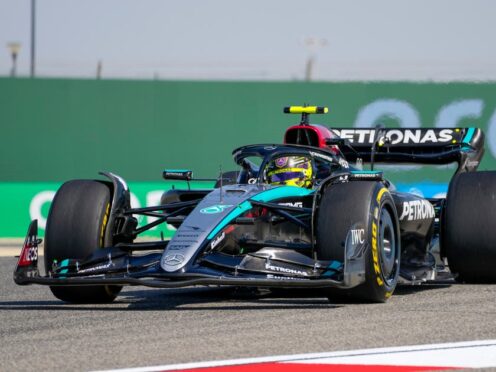 Lewis Hamilton in action in Bahrain on the second day (Darko Bandic/AP)