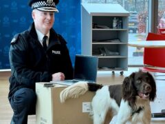 Zen is one of the digital device detection dogs (Police Scotland/PA)