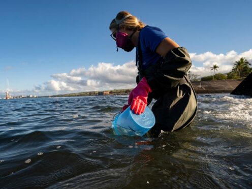 Water samples are being taken off Lahaina, Hawaii, following the devastating wildfire in the town (Mengshin Lin/AP)