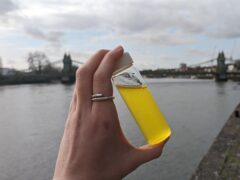 Tests of water in the River Thames around Hammersmith Bridge in west London found high levels of E.coli (River Action/PA)