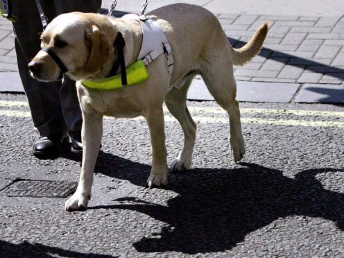Many blind and partially sighted people being denied support, charity says (Jane Mingay/PA)