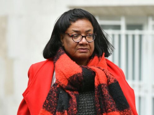 Tory donor Frank Hester has apologised for remarks he made about MP Diane Abbott (Dominc Lipinski/PA)