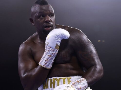 Dillian Whyte is back with a win (Steven Paston/PA)