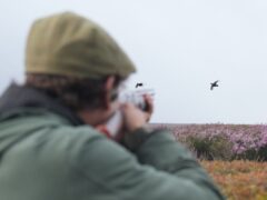 Legislation regulating grouse shooting has passed in Holyrood (Danny Lawson/PA)