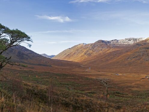 Campaigners say more than 2% of Scotland is now rewilding (Trees for Life/PA)