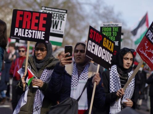 People take part in a pro-Palestine march in central London (Jordan Pettitt/PA)