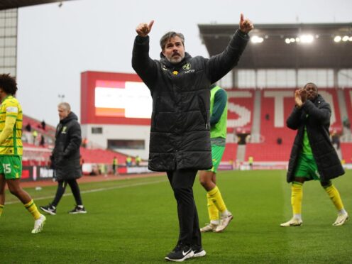 David Wagner’s Norwich eased past Stoke on Saturday (Jess Hornby/PA)