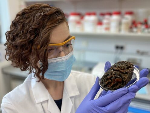 Alexandra Morton-Hayward, a forensic anthropologist and doctoral candidate at the University of Oxford, demonstrates the preserved neural folds of a 1,000-year-old brain (Graham Poulter/PA)