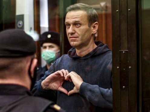 Alexei Navalny (Moscow City Court via AP)