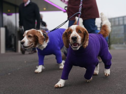 Dog and their owners have arrived at the National Exhibition Centre in Birmingham for the first day of Crufts (Jacob King/PA)