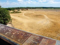 The Royal Burial Ground at Sutton Hoo (Alamy/PA)