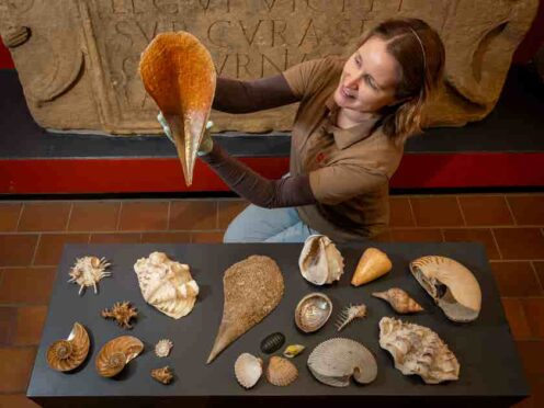 Shells from Captain Cook’s third voyage, which were feared lost for 40 years, are going back on public display after being rescued from a skip (Phil Wilkinson/English Heritage/PA)