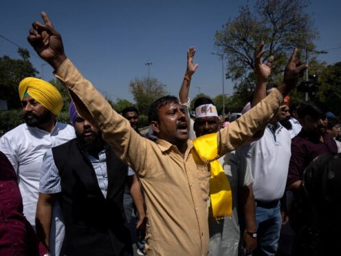 Protests have taken place in New Delhi (AP)
