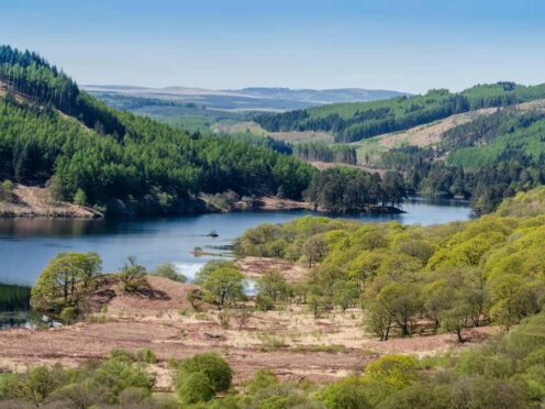 Galloway is one of the areas in the running to be Scotland’s next national park (Alamy/PA)