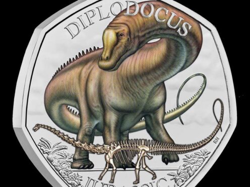 The diplodocus coin is the third and final one in the Royal Mint’s dinosaur range (Royal Mint/PA)