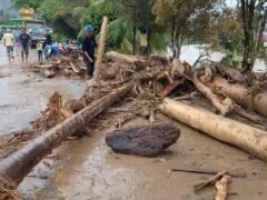 In an image made from video, a man attempts to remove logs that block a street following a flash flood in Langgai, West Sumatra (AP)