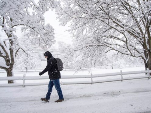 A pedestrian walks beneath snow-laden trees Thursday, April 4, 2024 in Northfield, Vermont (Jeb Wallace-Brodeur/PA)