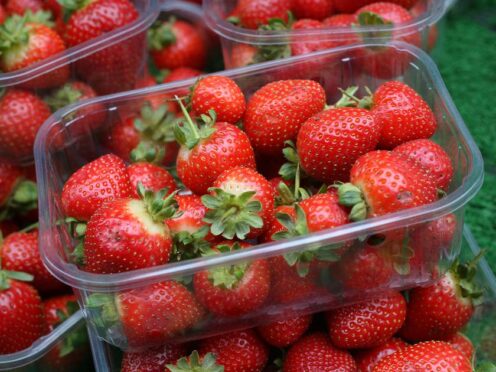 Government tests found PFAs in strawberries (Philip Toscano/PA)