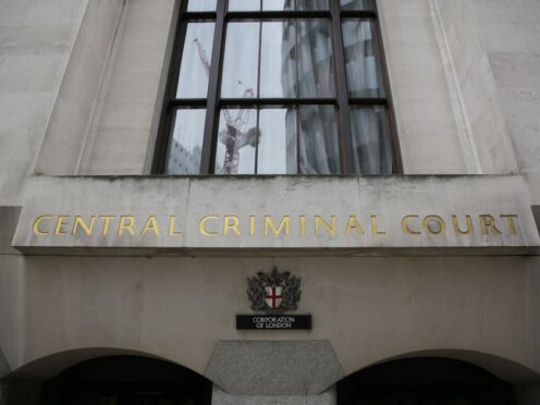 Adele Okojie-Aidonojie was found guilty of causing the death by dangerous driving after a trial at the Old Bailey (PA)
