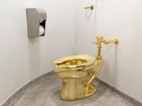 The 18-carat toilet was stolen in September 2019 while it was featured in an art exhibition (Jacopo Zotti/PA)