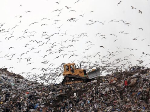 Birds look for food at the Seaton Meadows Landfill site in Hartlepool as workers clear the rubbish (Owen Humphreys/PA)