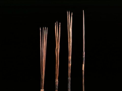 Four Aboriginal spears that were taken by Captain James Cook and brought to the UK more than 250 years ago have been permanently returned to Australia by Cambridge University (Museum of Archaeology and Anthropology/University of Cambridge/ PA)