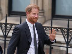 The Duke of Sussex (James Manning/PA)