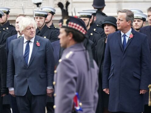 Former prime ministers Boris Johnson and David Cameron (PA)