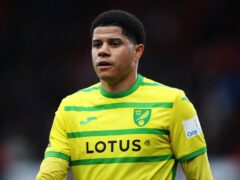 Gabriel Sara netted a late winner for Norwich at Preston (Jess Hornby/PA)