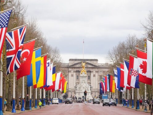 The national flags of Nato member countries hang in The Mall in London, in celebration of the 75th anniversary of the North Atlantic Treaty Organisation (Victoria Jones/PA)