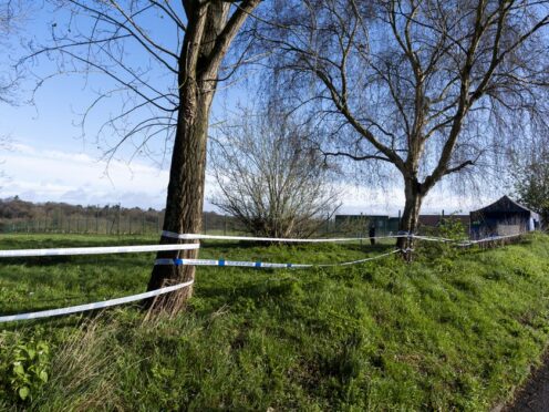 A man and a woman have been arrested on suspicion of murder after human remains were found in a park in New Addington, south London (Jordan Pettitt/PA)