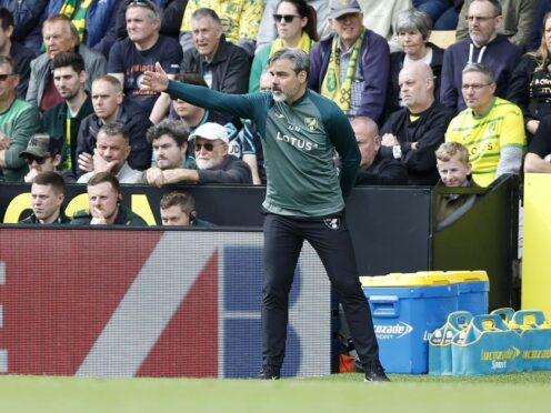 Norwich manager David Wagner praised his side’s fans for their backing after the 1-0 derby win against Ipswich at Carrow Road (Nigel French/PA).