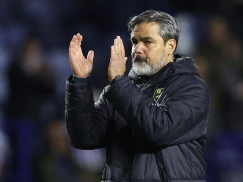 Norwich boss David Wagner was frustrated with his side for not taking all three points from a commanding position (Nigel French/PA)