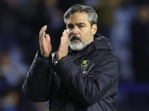 Norwich manager David Wagner has urged his side to keep going in their bid for the play-offs (Nigel French/PA)