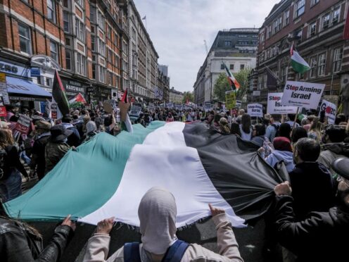 People take part in a pro-Palestine march in central London (Jeff Moore/PA)