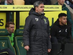 Norwich manager David Wagner was pleased with the performance against Swansea (George Tewkesbury/PA)