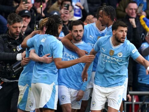 Bernardo Silva (centre) netted Manchester City’s late second-half winner (Adam Davy/PA)