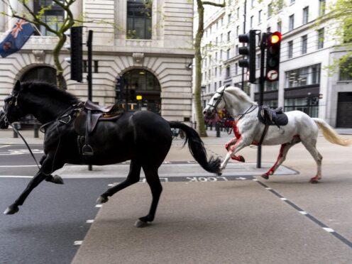 Two military horses on the loose bolt through the streets of London near Aldwych on Wednesday (Jordan Pettitt/PA)