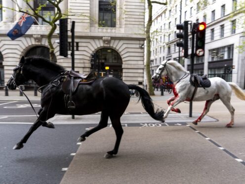 Household Cavalry horses Vida (grey) and Quaker (Black) on the loose bolt through the streets of London near Aldwych (Jordan Pettitt/PA)