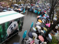 A vehicle carrying Fu Bao, the first giant panda born in South Korea, arrives for a farewell ceremony (AP Photo/Lee Jin-man)