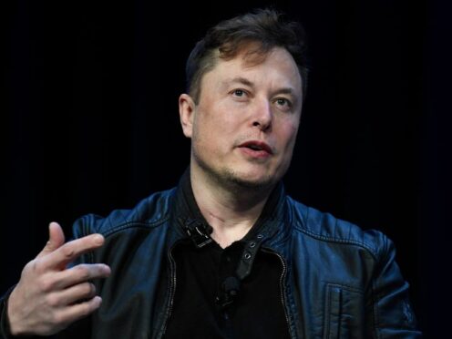 Tesla boss Elon Musk (Susan Walsh/AP)