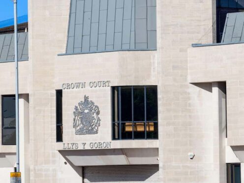 Olwen Collier suffered serious head injuries falling down the cellar of the Stag and Pheasant in Carmel, south Wales, Swansea Crown Court heard (Tony Baggett/Alamy/PA)