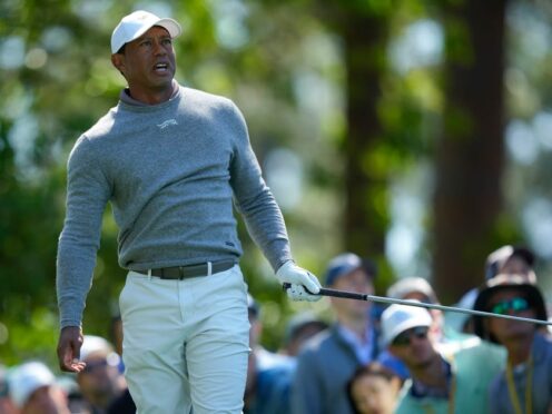 Tiger Woods is battling to make the cut (Matt Slocum/AP)