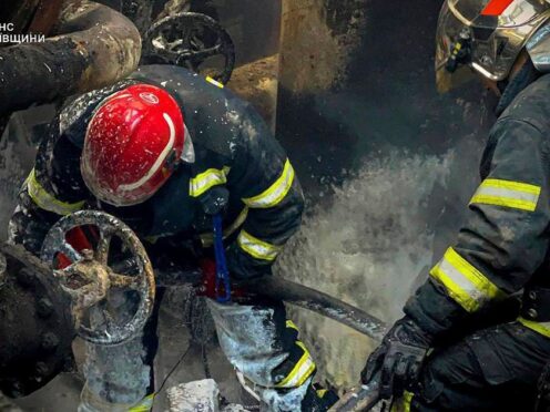 Ukrainian firefighters rescued five puppies (Ukrainian Emergency Service via AP)