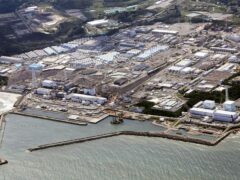 The Fukushima Daiichi nuclear power plant (Kyodo News/AP)