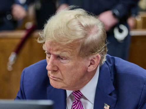 Donald Trump (Curtis Means/Pool Photo via AP)