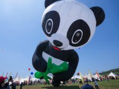 A panda-shaped kite flies at the 41st International Kite Festival in Weifang (Tatan Syuflana/AP)