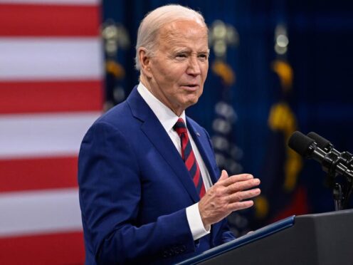 President Joe Biden (Matt Kelley/AP)