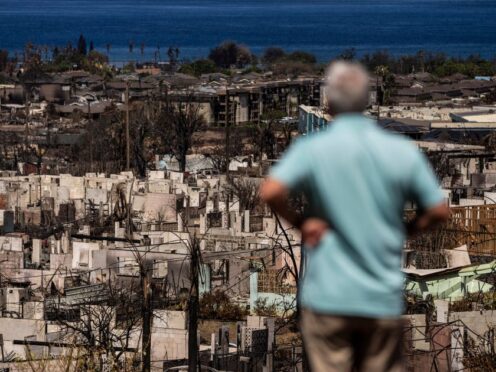 A man views the aftermath of a wildfire in Lahaina, Hawaii (Jae C Hong/AP, File)