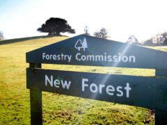 A general view of a sign in the New Forest National Park in Hampshire (PA)